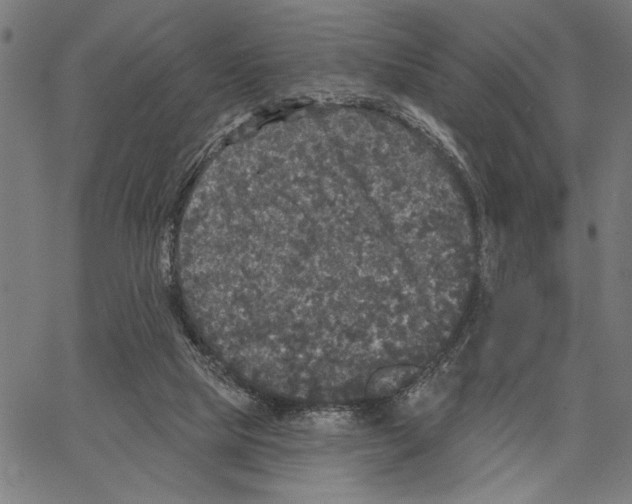 X0000062140065200601060934