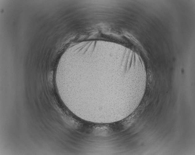 X0000062140066200601060934