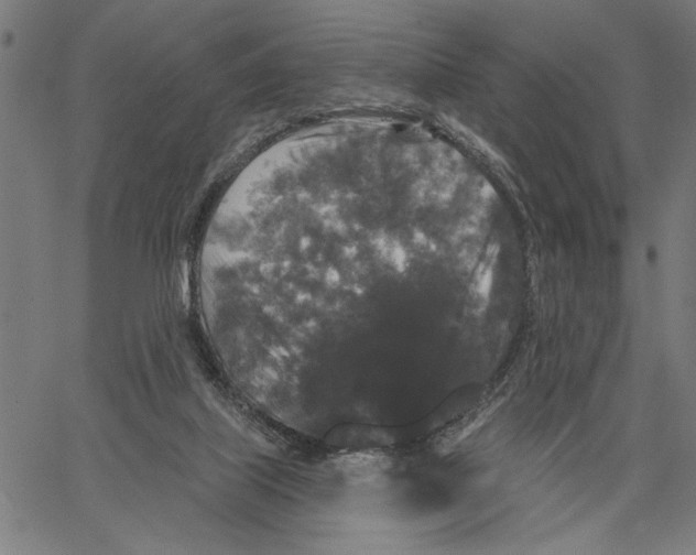 X0000062140067200601060934