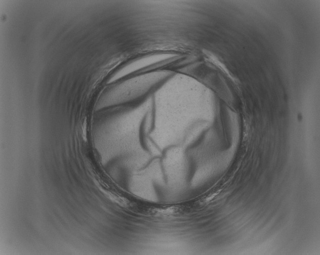 X0000062140068200601060934