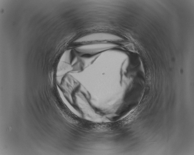 X0000062140070200601060934