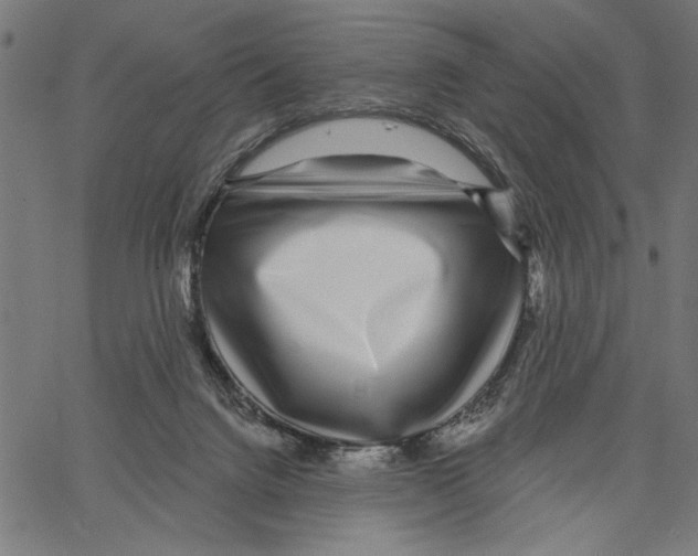 X0000062140072200601060934