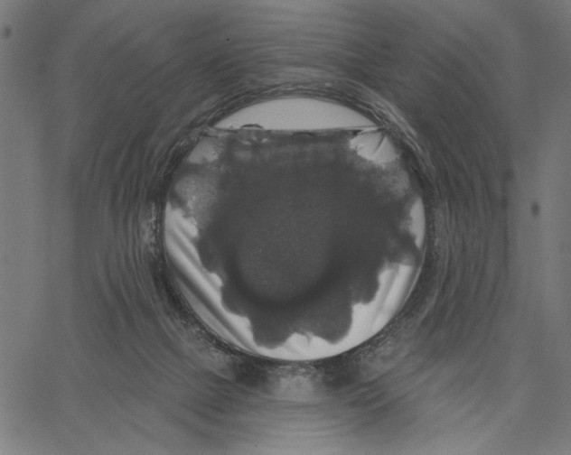 X0000062140073200601060934