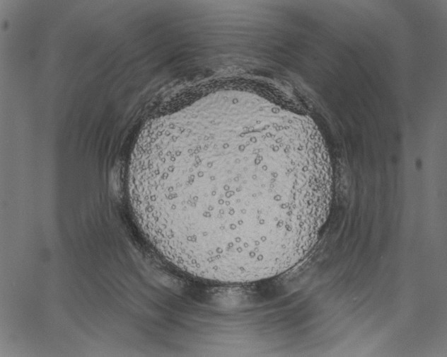 X0000062140074200601060934