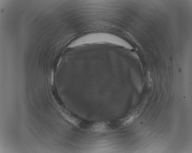 X0000062140076200601060934