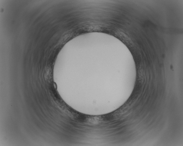 X0000062140079200601060934