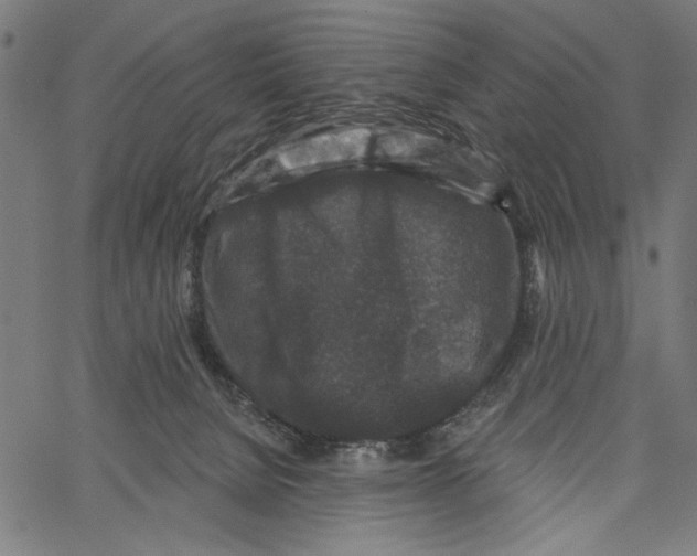 X0000062140080200601060934