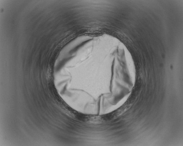 X0000062140081200601060934