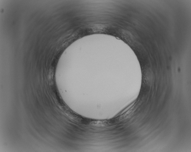 X0000062140082200601060934