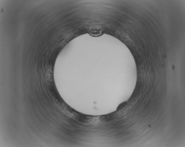 X0000062140083200601060934