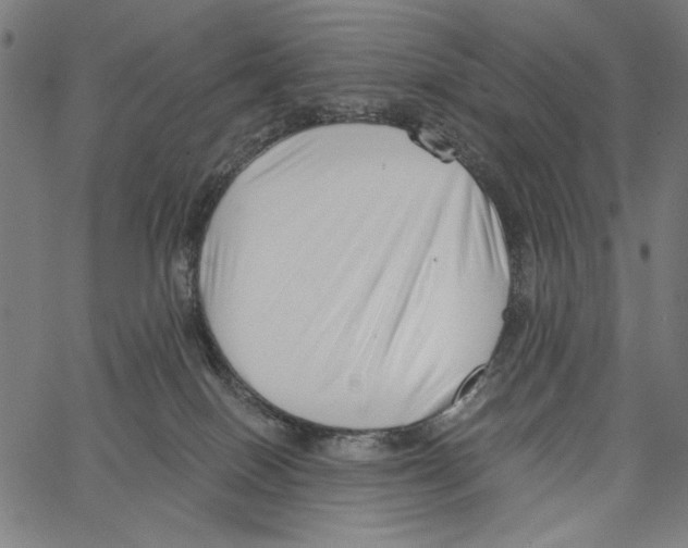 X0000062140086200601060934