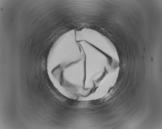 X0000062140090200601060934