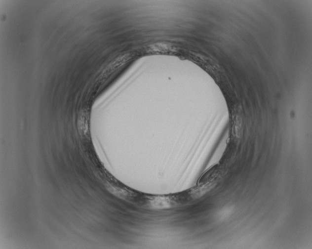 X0000062140091200601060934