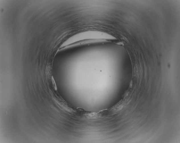 X0000062140092200601060934