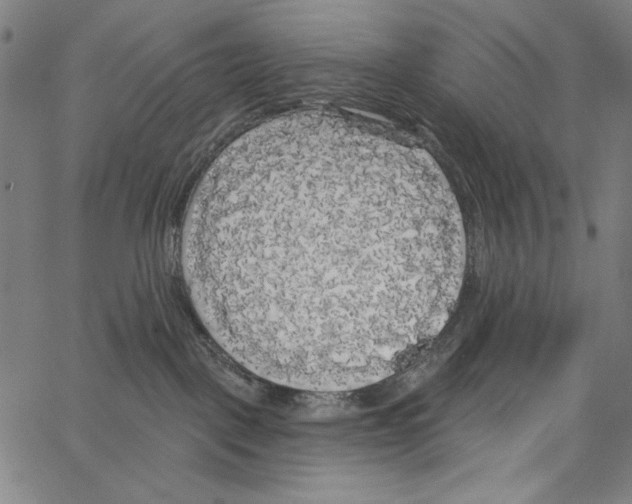 X0000062140093200601060934