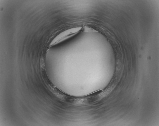 X0000062140096200601060934