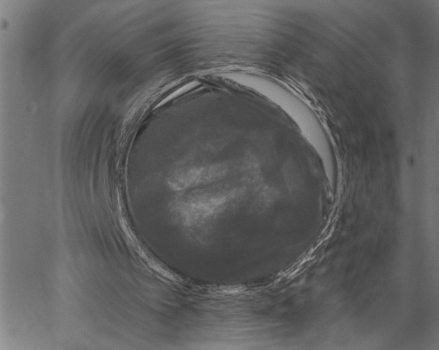 X0000062140097200601060933