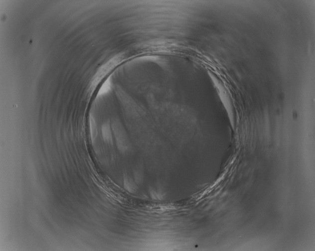 X0000062140099200601060933