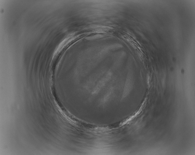 X0000062140101200601060933