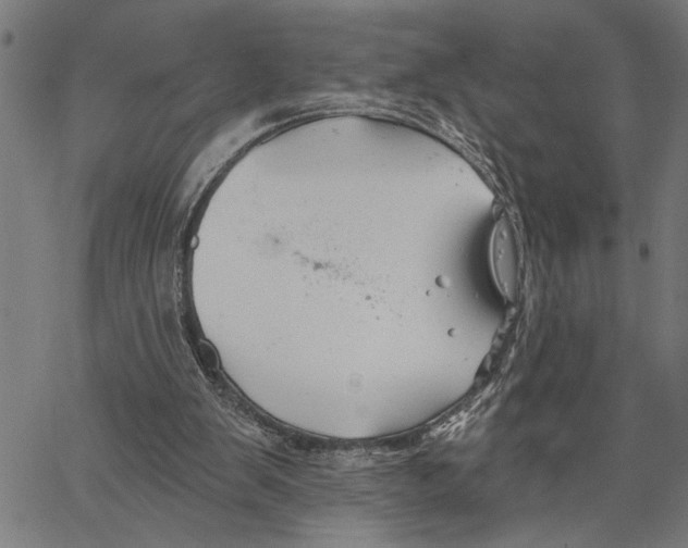 X0000062140103200601060933