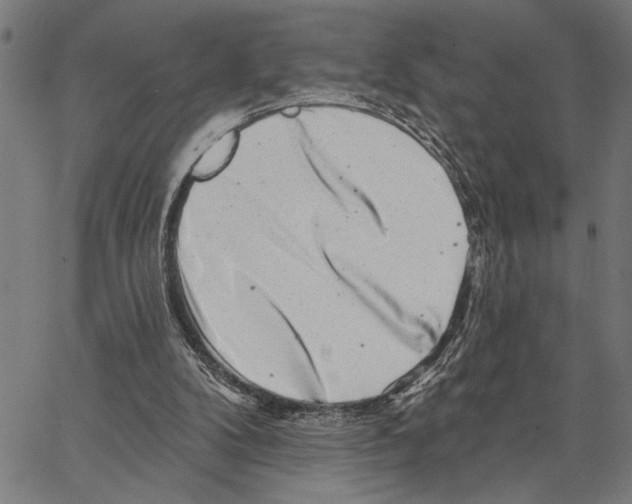 X0000062140104200601060933