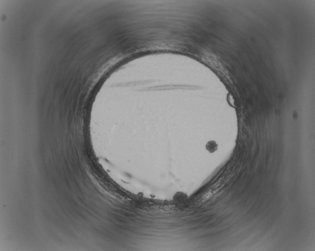 X0000062140108200601060933