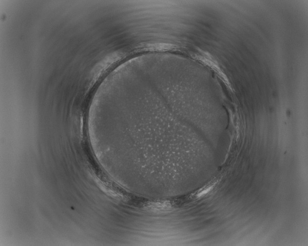 X0000062140110200601060933