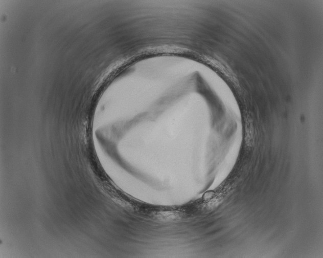 X0000062140111200601060933