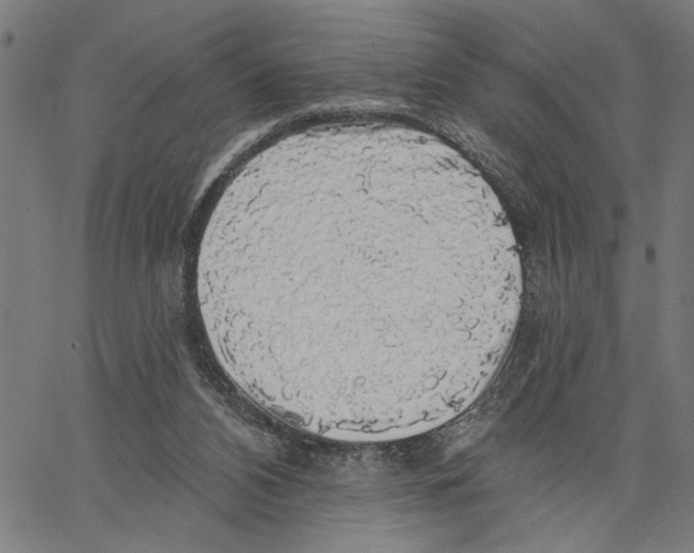 X0000062140112200601060933