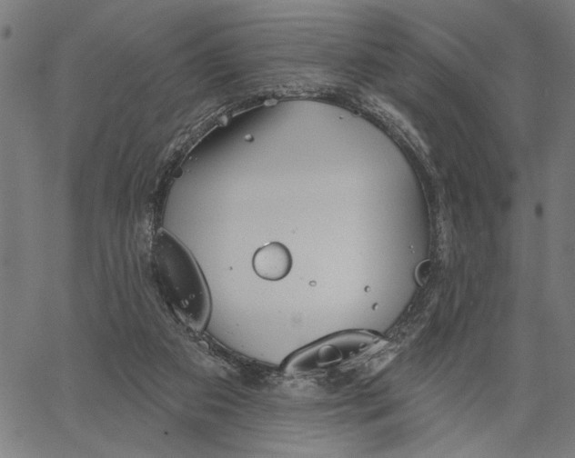 X0000062140113200601060933