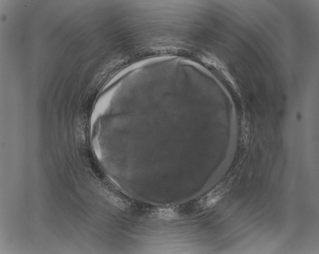 X0000062140114200601060933