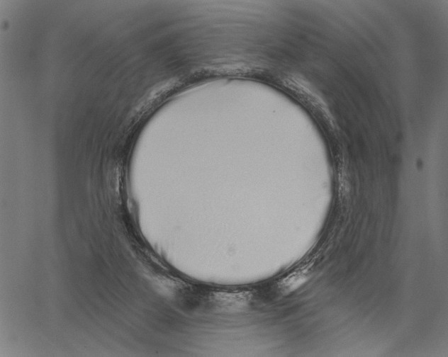 X0000062140115200601060933