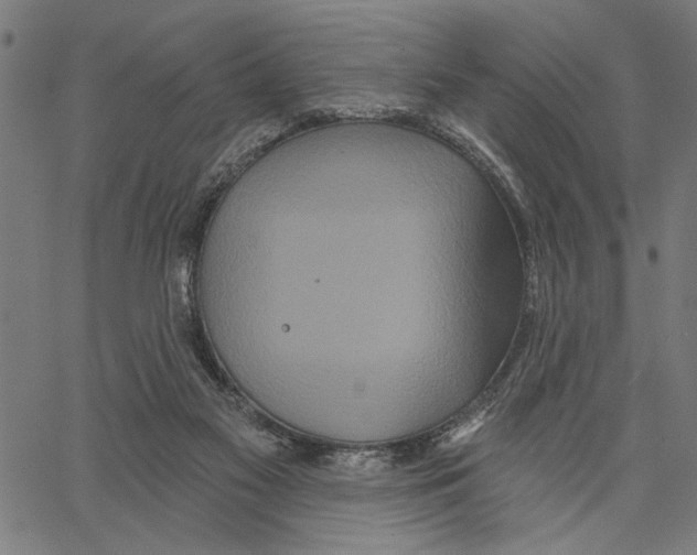 X0000062140117200601060933