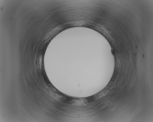 X0000062140118200601060933