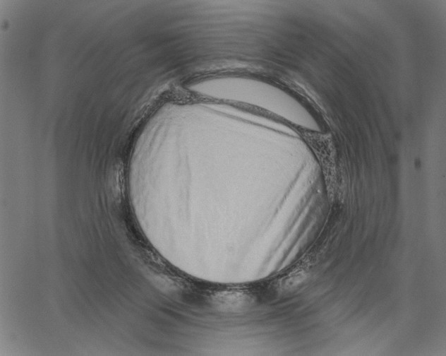 X0000062140119200601060933