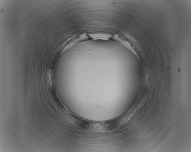 X0000062140121200601060933