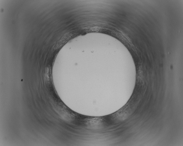 X0000062140122200601060933