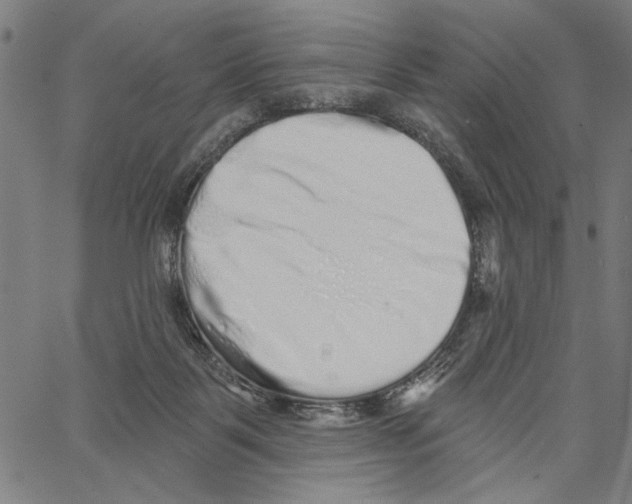 X0000062140123200601060933