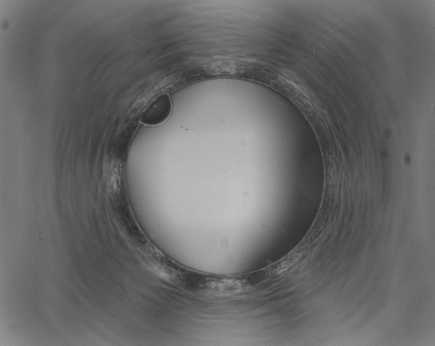 X0000062140125200601060933