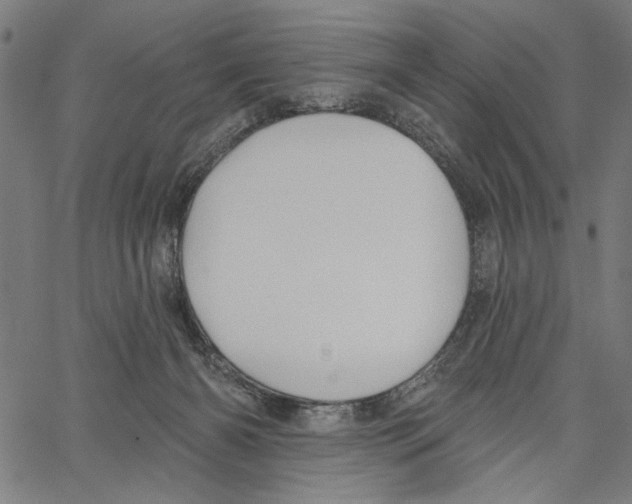 X0000062140126200601060933