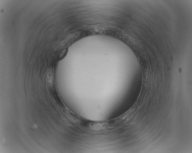 X0000062140129200601060933