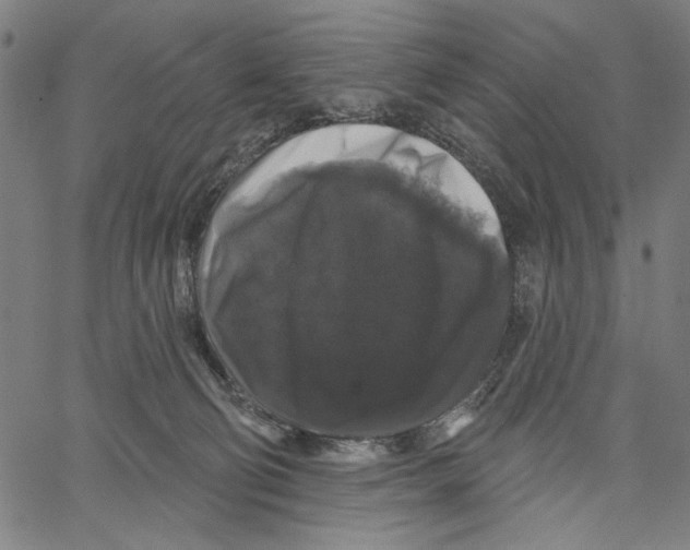 X0000062140130200601060933