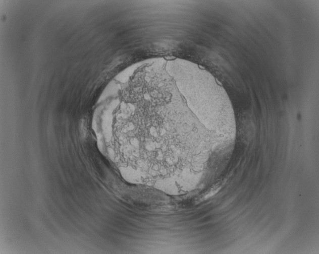 X0000062140131200601060933