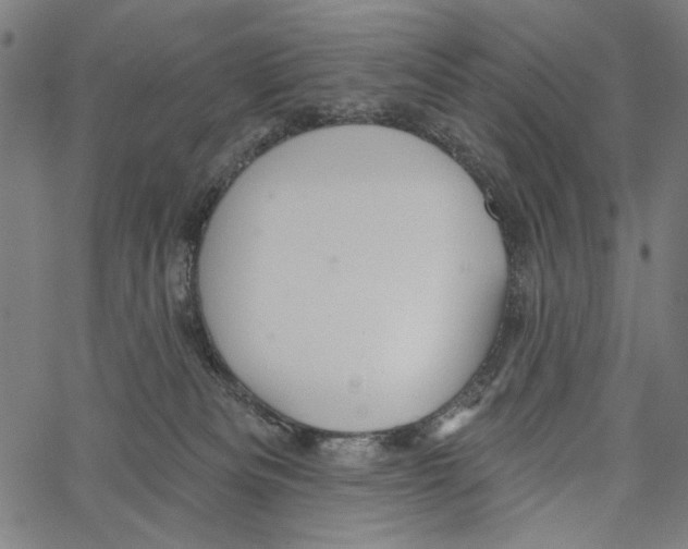 X0000062140133200601060933