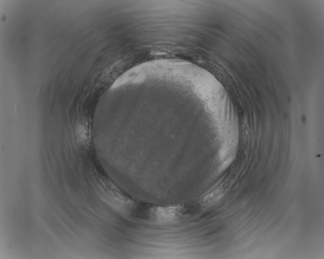 X0000062140134200601060933