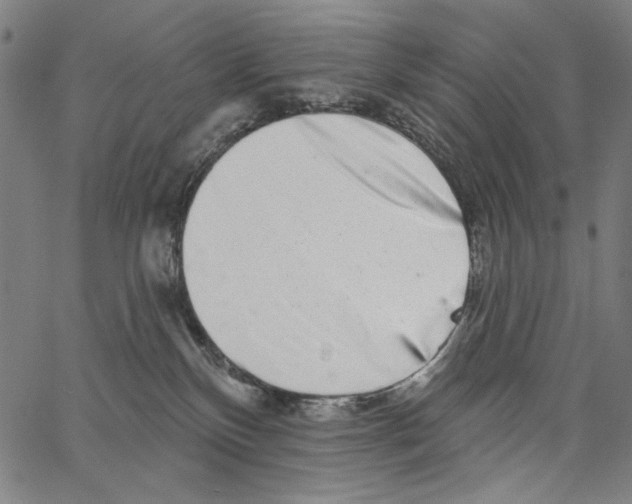 X0000062140136200601060933