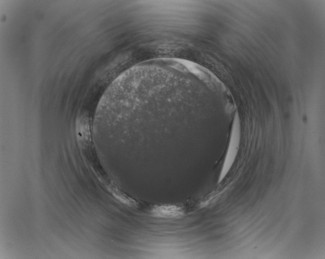 X0000062140137200601060933