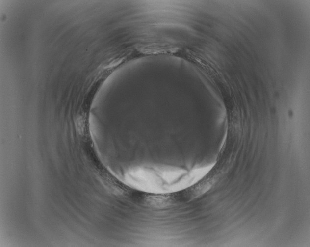 X0000062140139200601060933