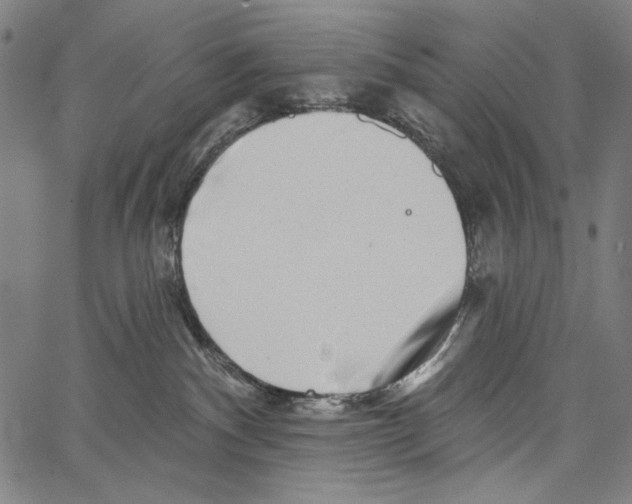 X0000062140140200601060933