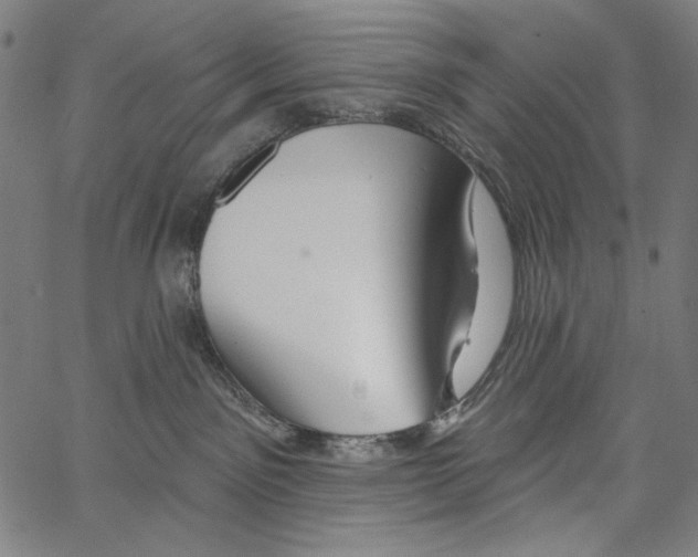 X0000062140141200601060933